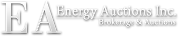 Energy Auctions